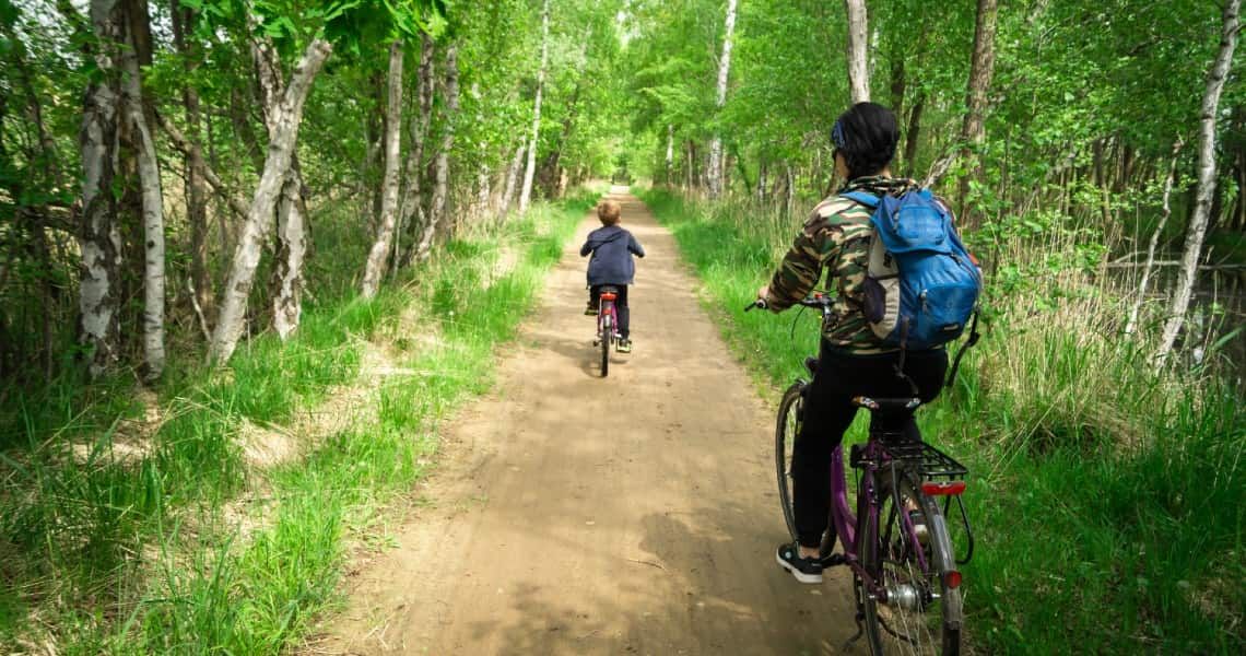 Two people are riding bicycles on a dirt trail through a lush, green forest.