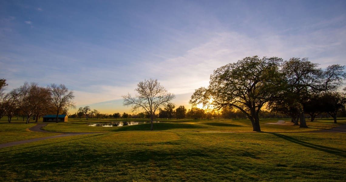 A picturesque view of a park during sunset, with a clear sky transitioning from blue to soft pastel hues. The sun is low on the horizon, casting long shadows and a warm golden light over the landscape.