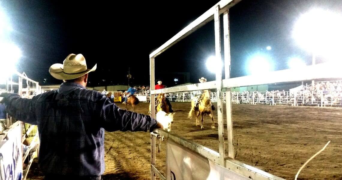 experience-matagorda-rodeo-6 Rodeo with horses