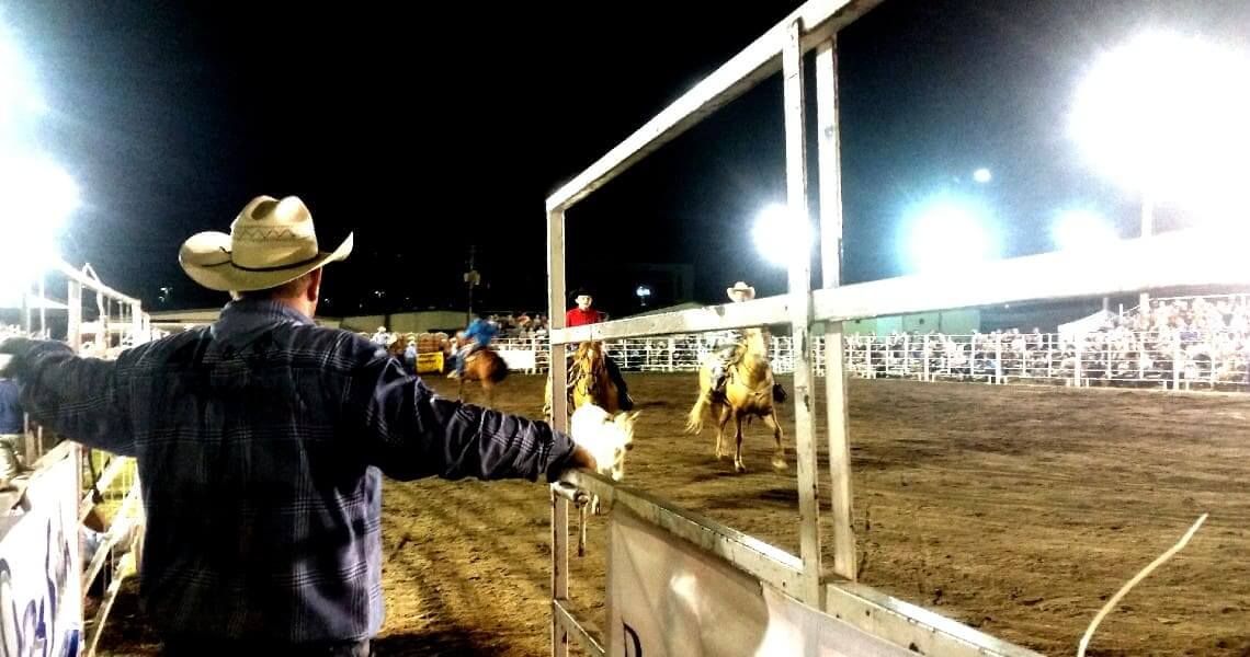 Rodeo with horses