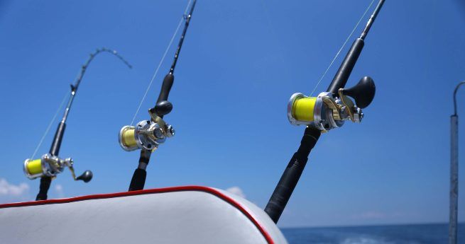 Three fishing rods with reels are securely mounted on a boat, ready for use. The rods are angled outward, poised for action against a backdrop of a clear blue sky and distant ocean waters.