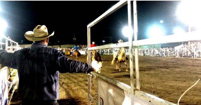 A nighttime rodeo scene with bright floodlights illuminating the arena. In the foreground, a man wearing a cowboy hat and plaid shirt is standing by the gate, looking into the arena. Inside, cowboys on horseback are actively participating in the rodeo event, riding and maneuvering their horses. The arena is surrounded by fences and bleachers filled with spectators watching the action.