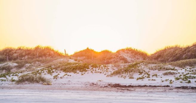 The image captures a beautiful coastal scene at sunrise or sunset, with the sun just above the horizon, casting a warm golden light. The foreground features soft, white sandy dunes adorned with patches of green vegetation. The dunes gently rise, creating a natural barrier between the beach and the inland area.