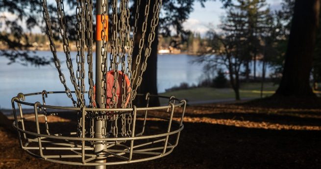 family activities in the victoria, tx, riverside park-disc golf-4 A close-up shot of a disc golf basket with chains, situated in a wooded park area near a peaceful lake. The basket is in focus, with a red disc resting inside, indicating a successful throw.