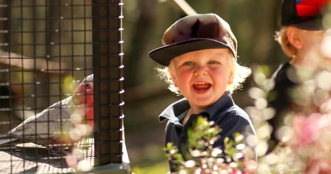 guide to bird-watching in palacios-kid with bird-6