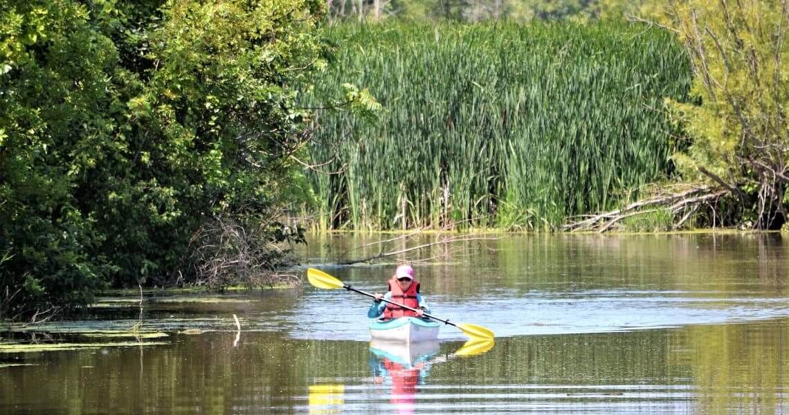 kayaking spots and rentals in matagorda bay-woman kayaking-6