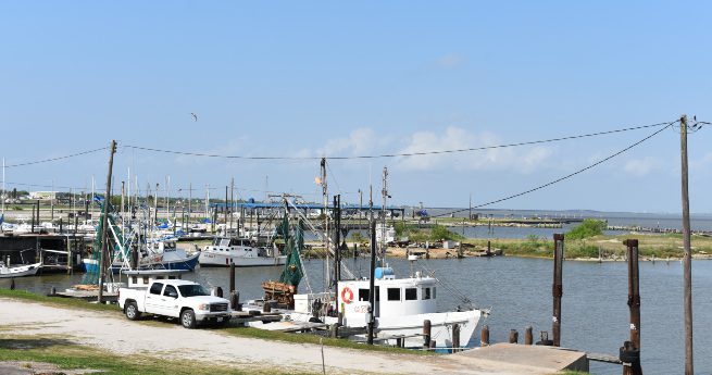 visitor’s guide to the port lavaca lighthouse & beach-pier-3 A bright and sunny day at a busy marina, with several boats docked along the piers.