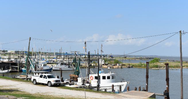 A bright and sunny day at a busy marina, with several boats docked along the piers.