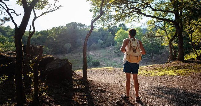 A hiker wearing a light backpack and shorts stands on a wooded trail, surrounded by trees and dappled sunlight.