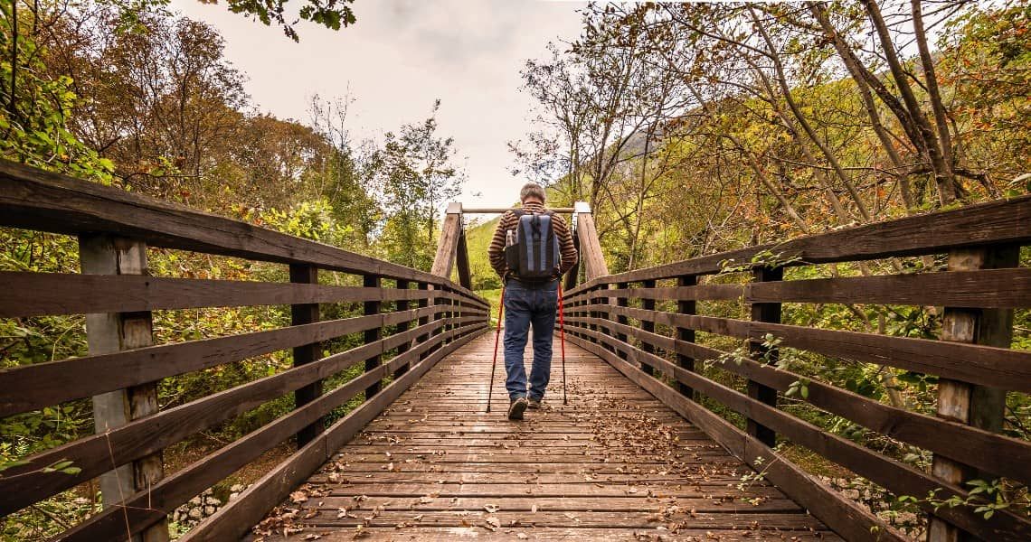 A hiker walks across a wooden bridge surrounded by vibrant autumn foliage. The person, wearing a backpack and holding trekking poles, is seen from behind, immersed in the natural beauty of the forest trail.