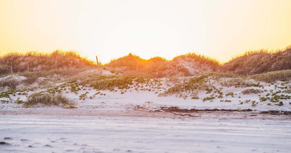 A scenic view of sand dunes covered with grass and vegetation, illuminated by the warm glow of a sunrise or sunset, casting a peaceful ambiance across the beach.